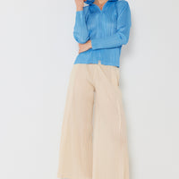 Marina West Swim Pleated Wide-Leg Pants with Side Pleat Detail