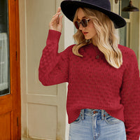 Openwork Round Neck Sweater