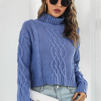 Turtleneck Dropped Shoulder Sweater